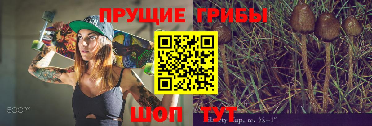 Батайск  Галлюциногенные грибы GOLDEN TEACHER  Вход с VPN  Галлюциногенные грибы MAGIC MUSHROOMS 
