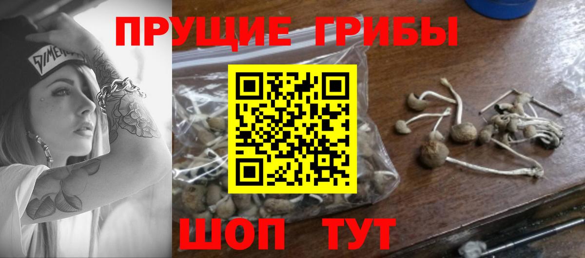 Псилоцибиновые грибы мицелий Батайск
